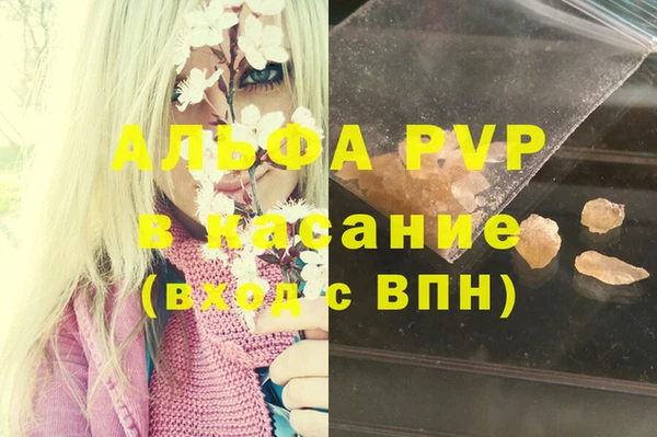 стафф Аркадак