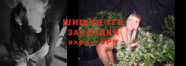стафф Аркадак
