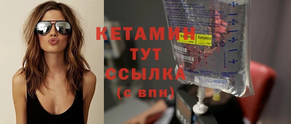 сатива Пересвет