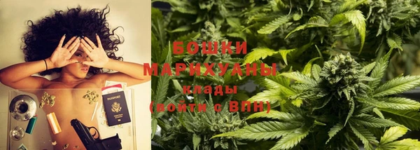 стафф Аркадак