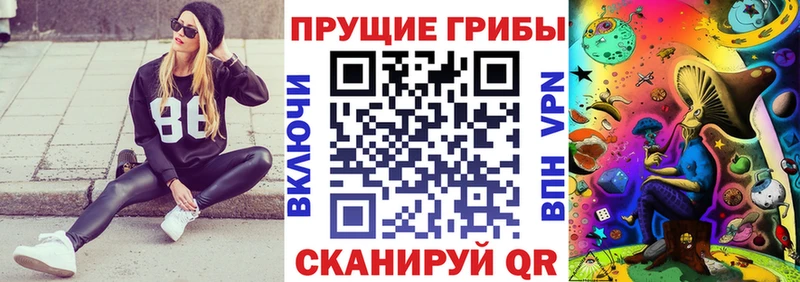 Галлюциногенные грибы Cubensis ссылка на мегу ссылки Бабаево купить наркоту